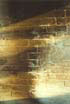 Image taken after the canberra Fires of 2003