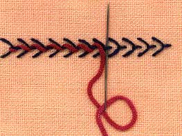 a step by step illustration of how to work whipped fly stitch